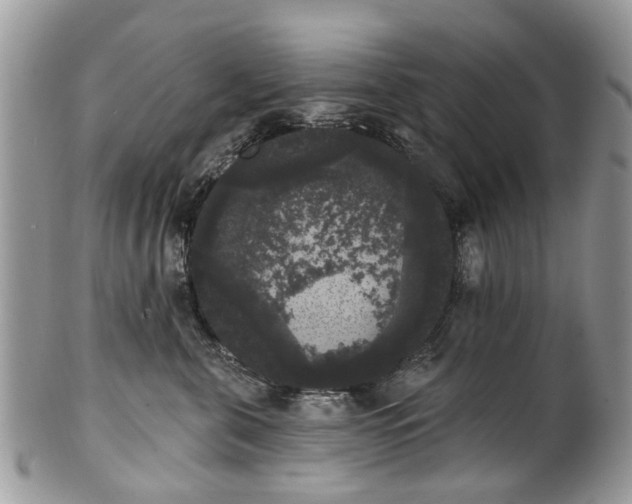 X0000101980571200807251236