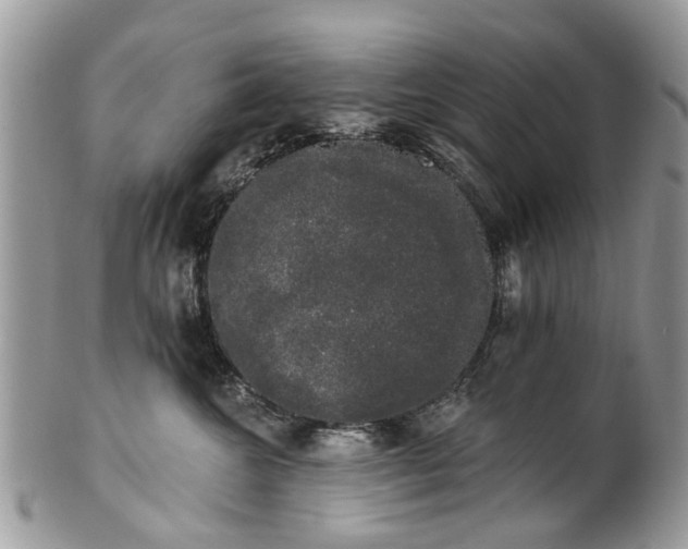 X0000101980572200807251236