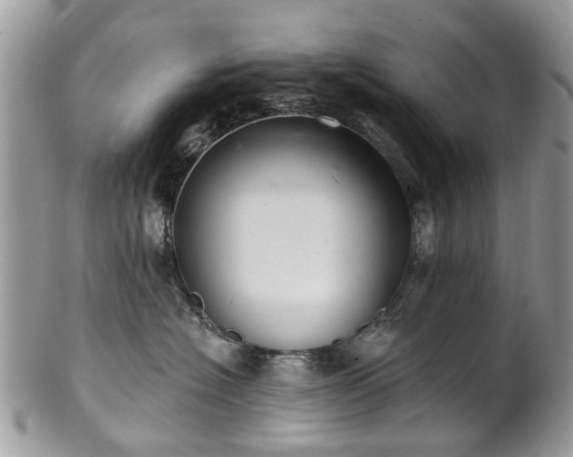 X0000101980574200807251236