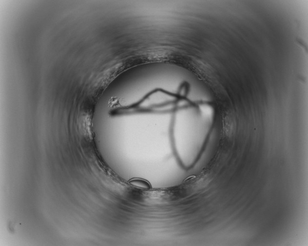 X0000101980575200807251236