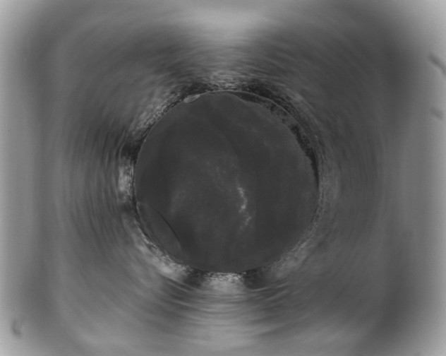 X0000101980576200807251236