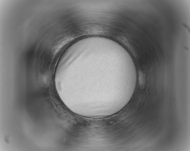 X0000101980579200807251235