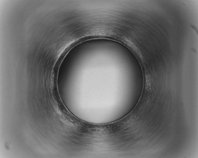 X0000101980580200807251235