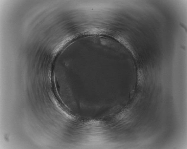 X0000101980581200807251235