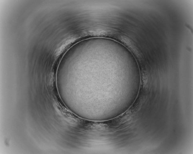 X0000101980583200807251235