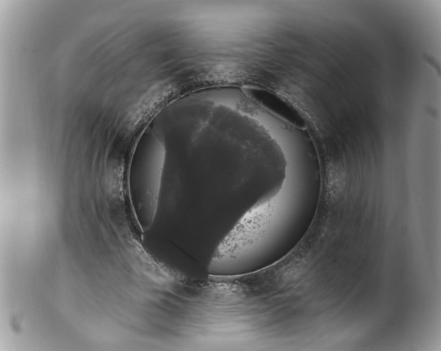 X0000101980585200807251235