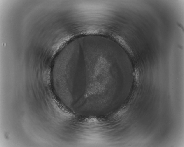 X0000101980588200807251235