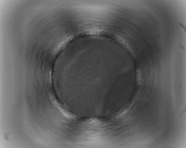 X0000101980589200807251235