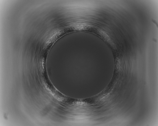 X0000101980590200807251235