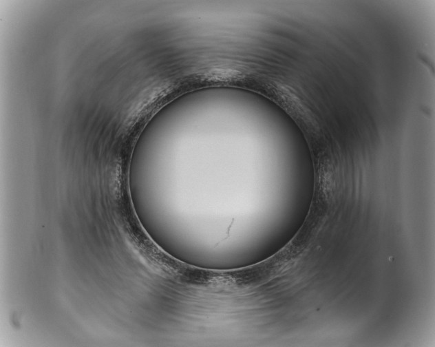 X0000101980591200807251235