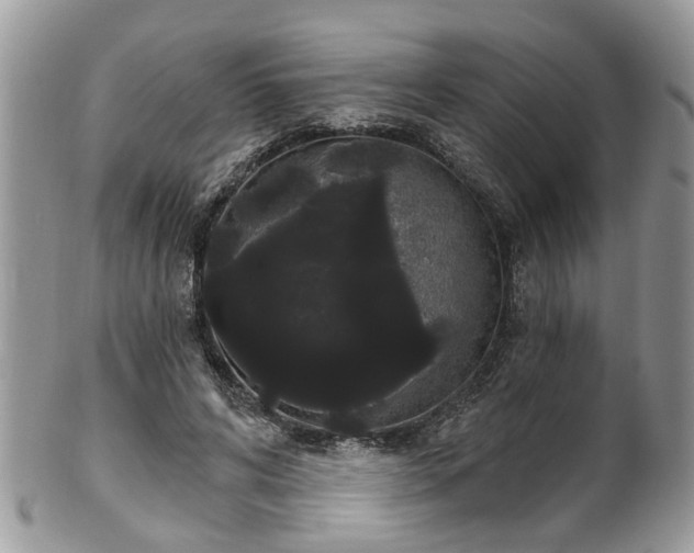 X0000101980592200807251235