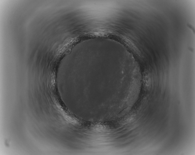 X0000101980593200807251235