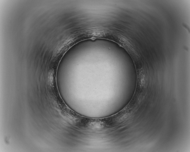 X0000101980595200807251235