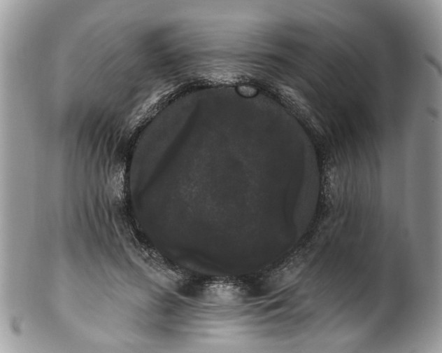 X0000101980596200807251235