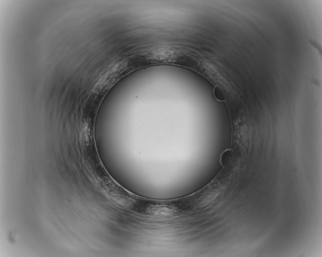 X0000101980597200807251235