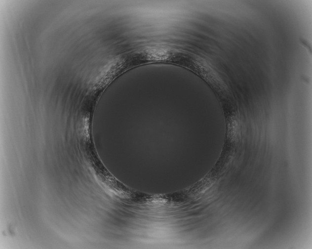 X0000101980598200807251235