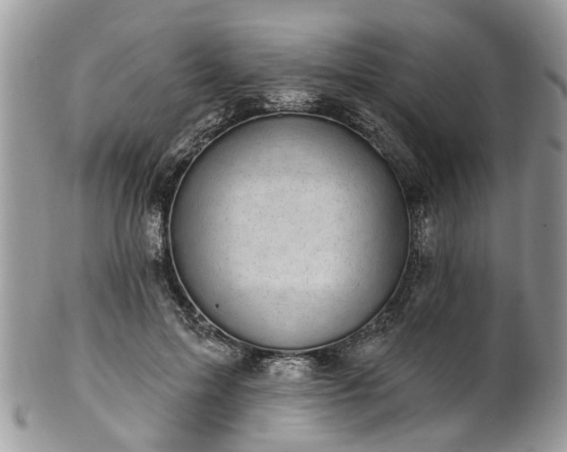 X0000101980599200807251235