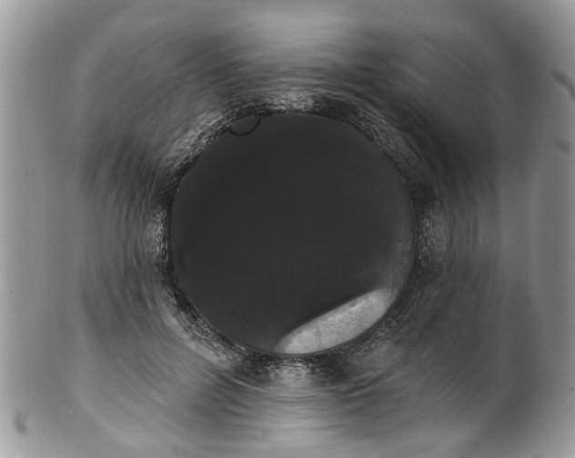 X0000101980600200807251235