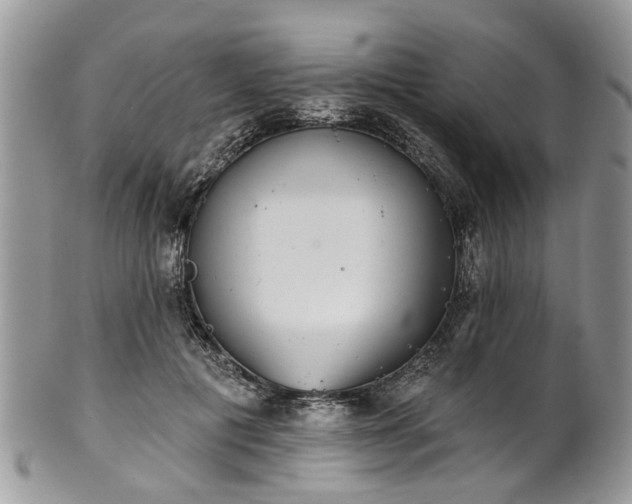 X0000101980601200807251235