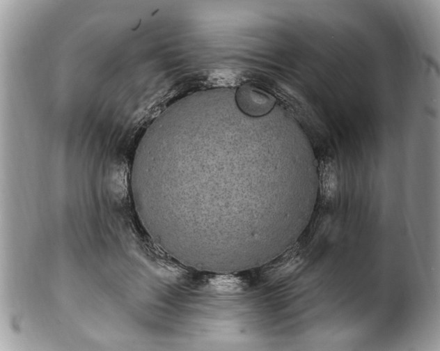 X0000101980603200807251235