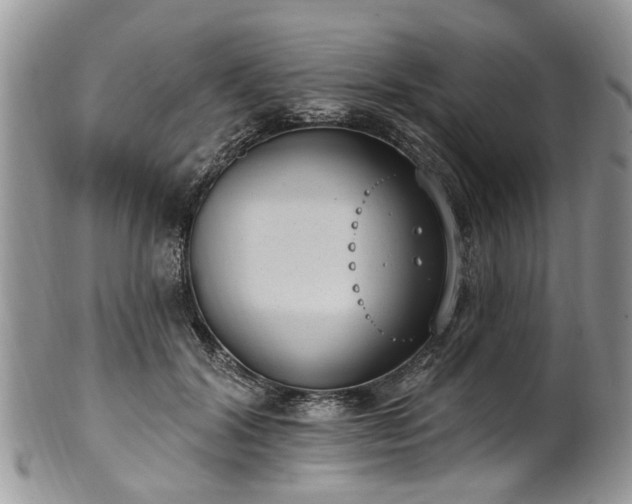 X0000101980604200807251235