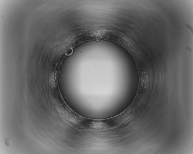 X0000101980605200807251235