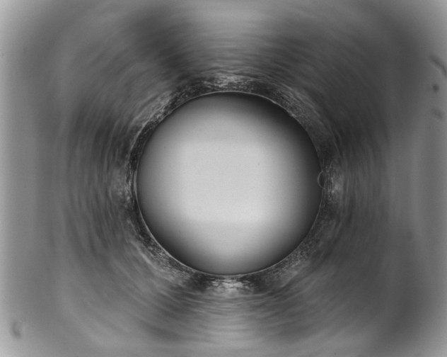 X0000101980607200807251235