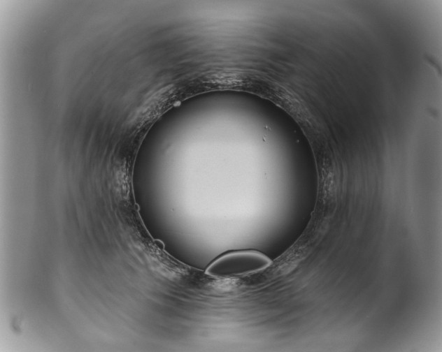 X0000101980609200807251235