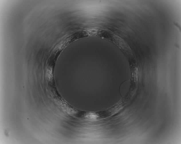 X0000101980610200807251235