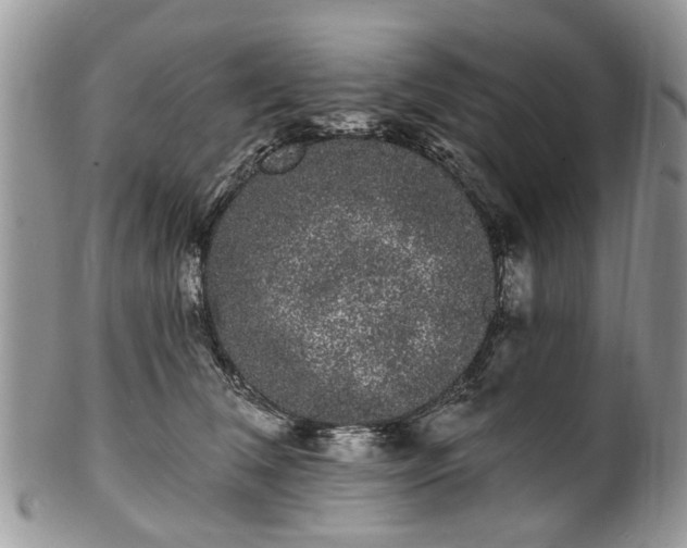 X0000101980612200807251235