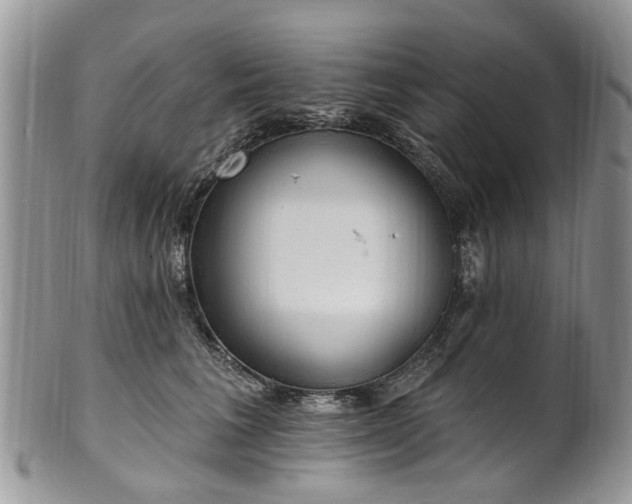 X0000101980613200807251235