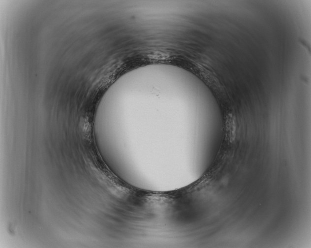 X0000101980614200807251235