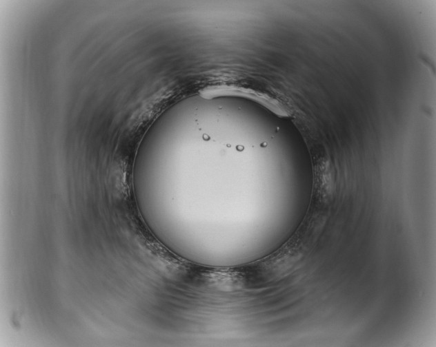 X0000101980615200807251235