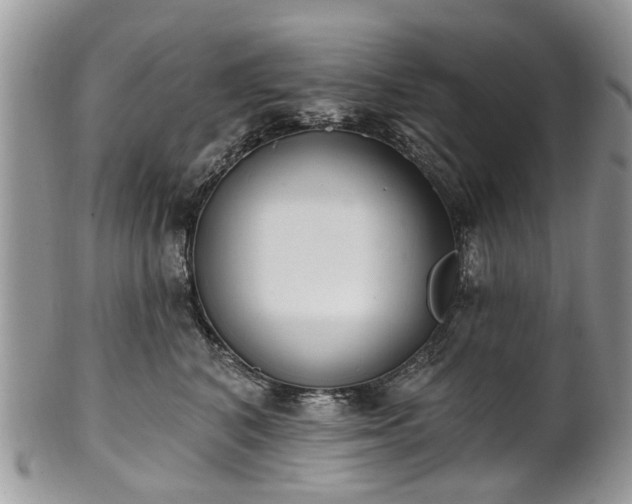 X0000101980616200807251235