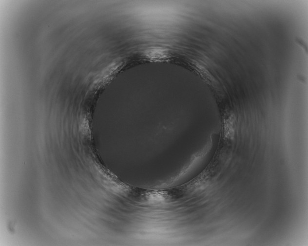 X0000101980618200807251235