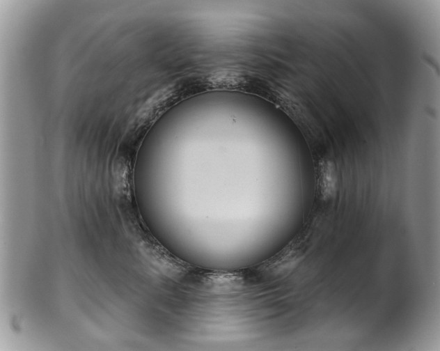 X0000101980619200807251235