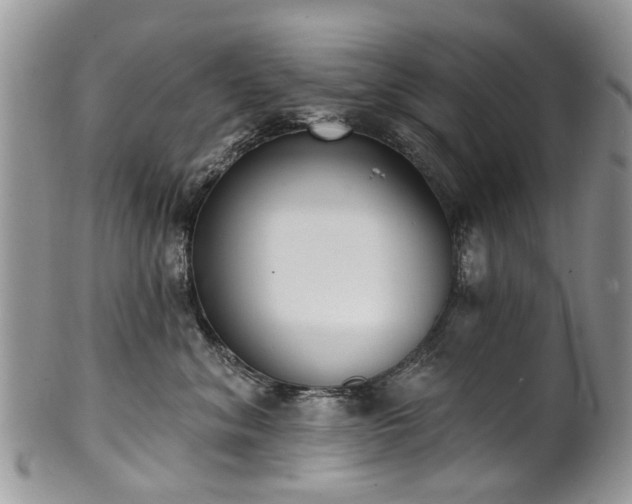 X0000101980620200807251235