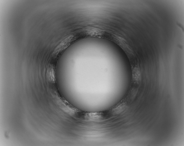 X0000101980622200807251235