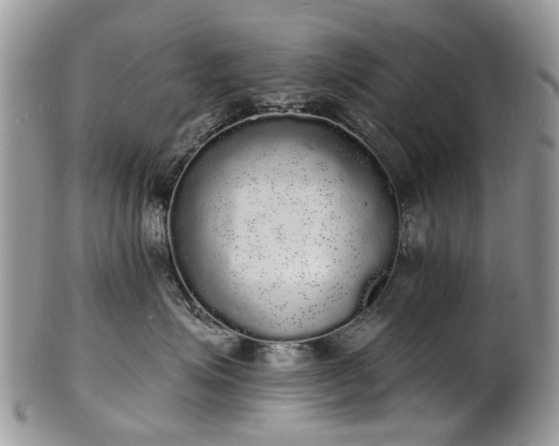 X0000101980623200807251235