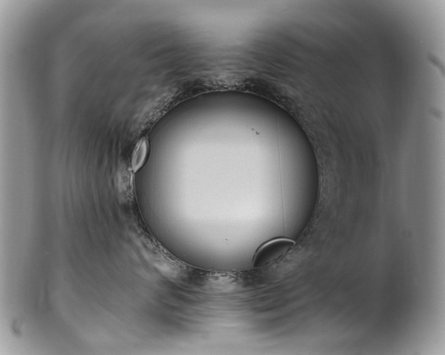 X0000101980624200807251235