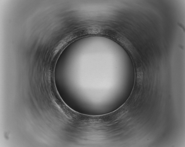 X0000101980626200807251234