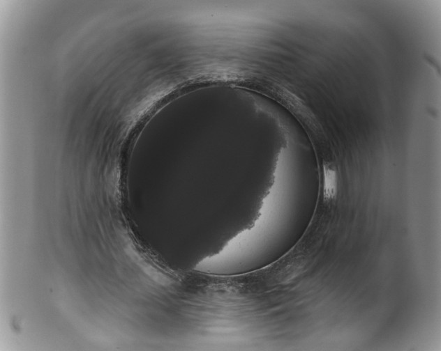 X0000101980627200807251234