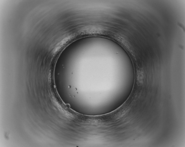 X0000101980629200807251234