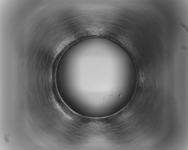 X0000101980630200807251234