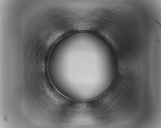 X0000101980631200807251234