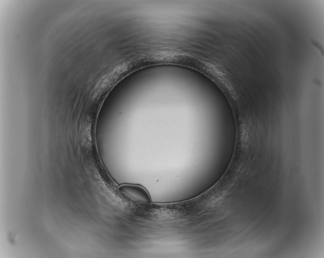 X0000101980633200807251234