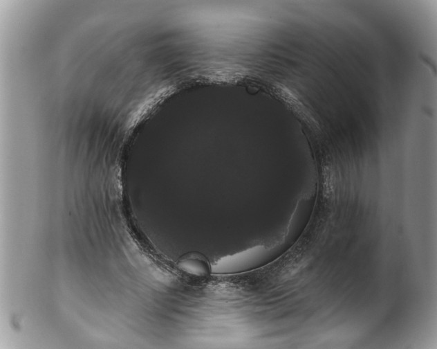 X0000101980634200807251234