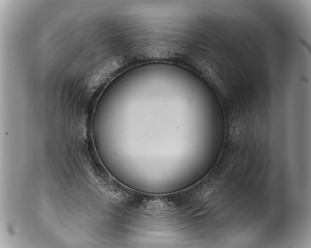 X0000101980635200807251234