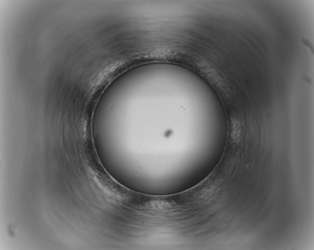 X0000101980636200807251234