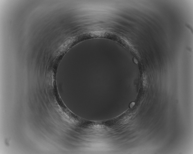 X0000101980637200807251234